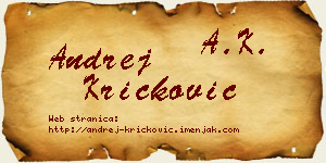 Andrej Kričković vizit kartica